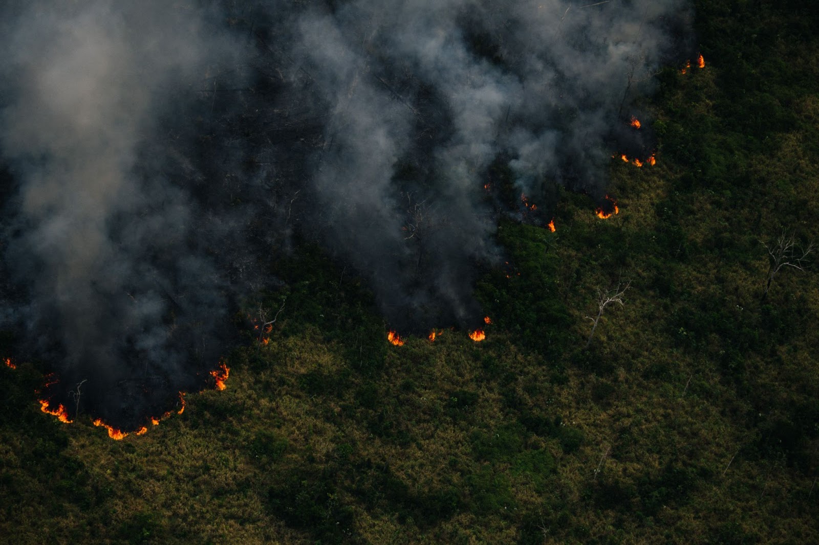 ABM lança guia para orientar municípios no combate e prevenção dos impactos do Super El Niño