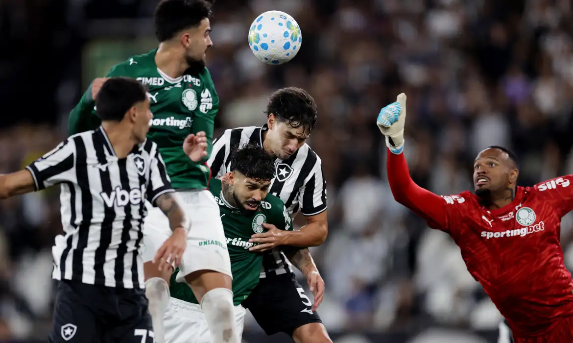 Botafogo empata sem gols com o Palmeiras e garante Flamengo na liderança do Brasileirão