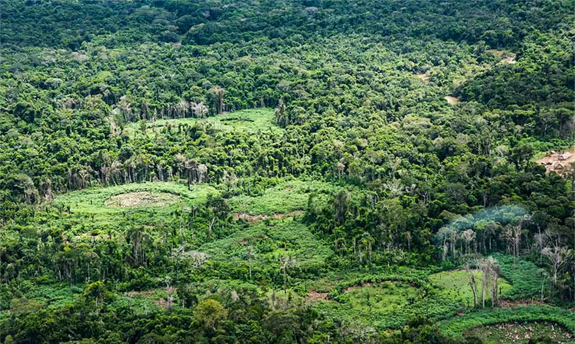Especialistas defendem protagonismo indígena na recuperação de 1,79 milhão de hectares degradados na Amazônia