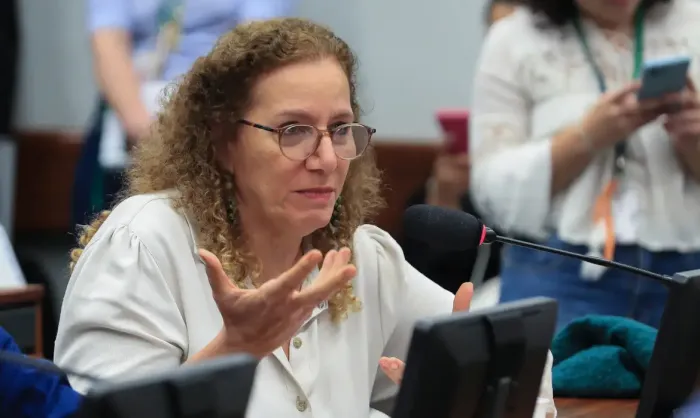 Comitiva do governo nos EUA pede cooperação contra o crime e atuação da OEA nas eleições