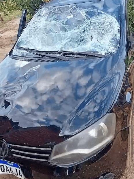 Colisão com animal na BA-160 em Malhada acende alerta para motoristas