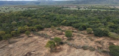 Brasil é cobrado a transformar meta de restauração de 163 mil km² em ações práticas após COP17