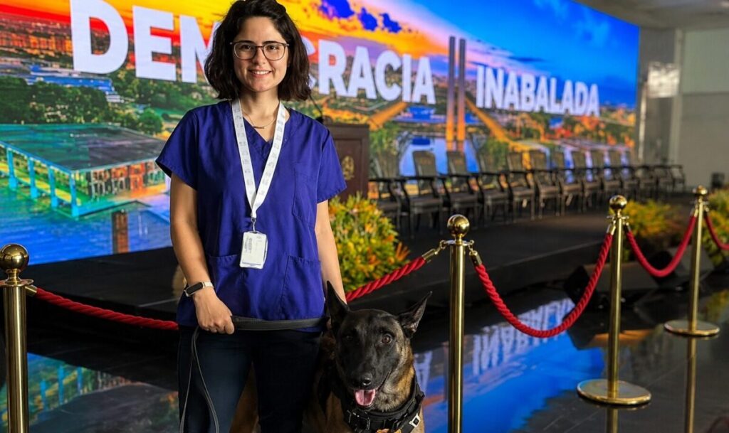 Morre veterinária atacada por cachorro no canil do Senado Federal