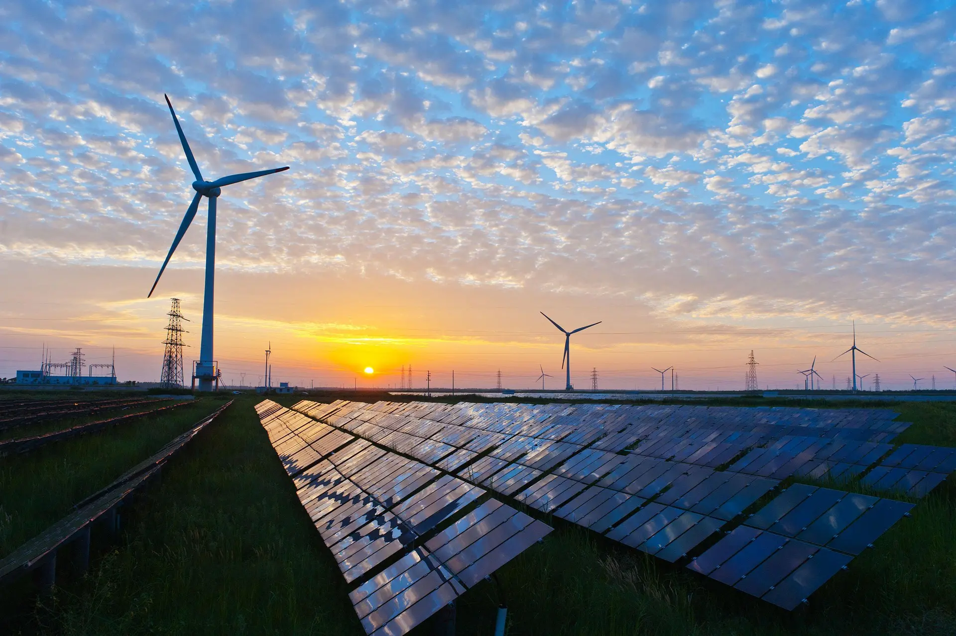 Potência do BRICS, Índia aposta US$ 170 bilhões para limpar sua matriz energética