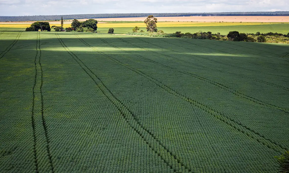 Senado aprova PL do Profert para incentivar fabricação nacional de fertilizantes