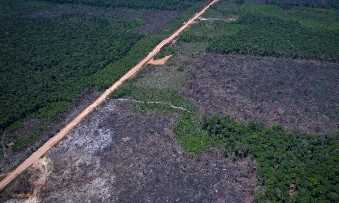 Desmatamento na Amazônia cai 36,87% e atinge menor nível da série histórica do Deter
