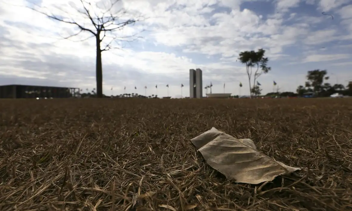 Aquecimento global deve superar 1,5°C nos próximos anos e ameaça economia, agricultura e saúde