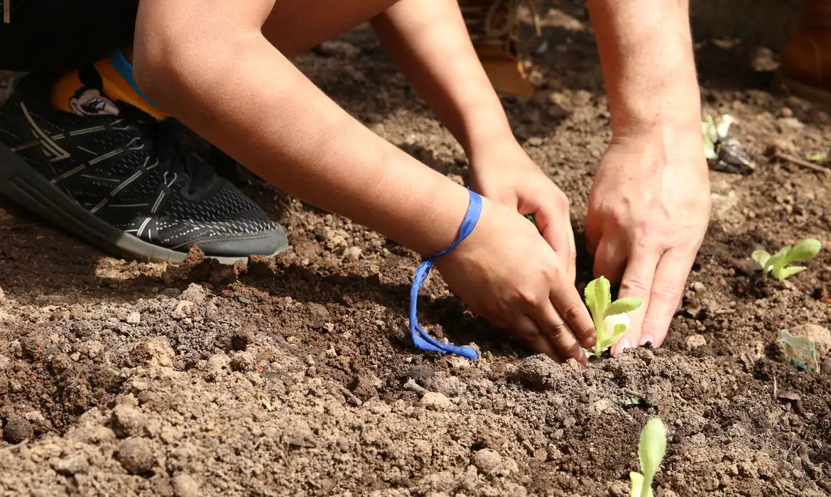 Entidades socioambientais e universidades lançam carta de compromissos pela agroecologia para candidatos em SP