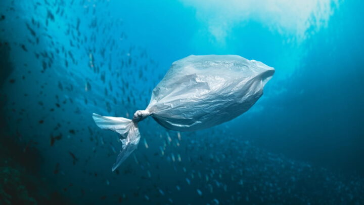 Fim dos microplásticos? Novo material japonês promete revolucionar o descarte nos oceanos