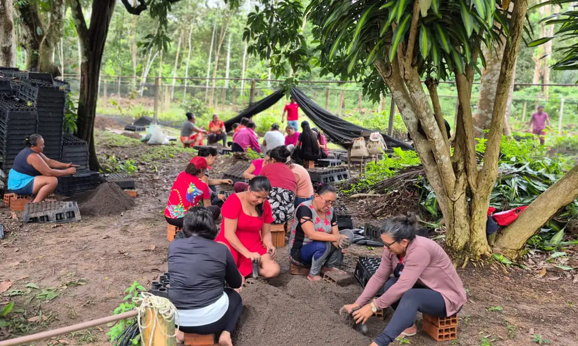 Mulheres da Amazônia Unem Saberes Tradicionais e Agroecologia Contra a Crise Climática