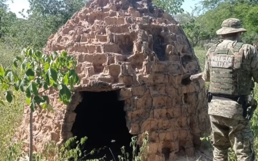PM apreende 30 toneladas de carvão e destrói 300 fornos em Palmas de Monte Alto