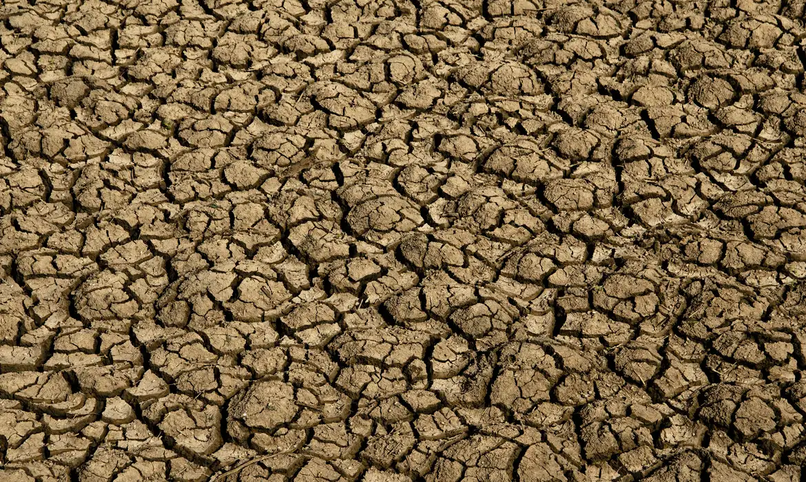 Avanço da desertificação no Brasil coloca em risco a segurança hídrica e a produção de alimentos