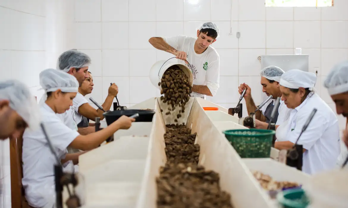 Consulta pública sobre bens sustentáveis no Acordo Mercosul–UE encerra prazo nesta quarta-feira (2)